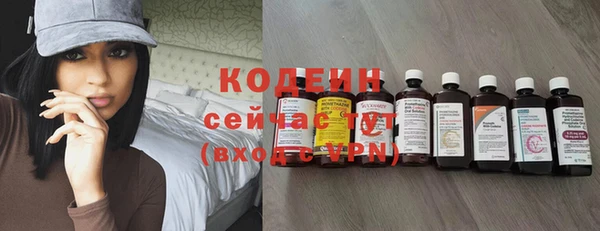 индика Балахна