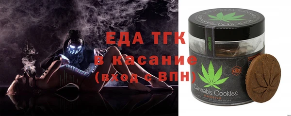индика Балахна