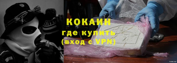 индика Балахна