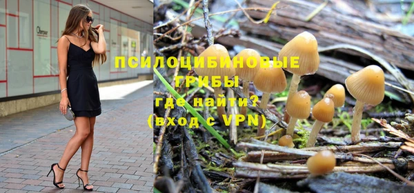ПСИЛОЦИБИНОВЫЕ ГРИБЫ Балабаново