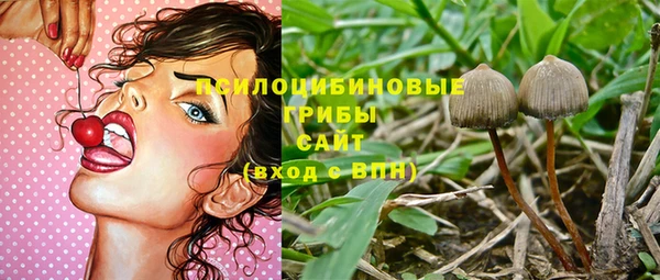 ПСИЛОЦИБИНОВЫЕ ГРИБЫ Балабаново