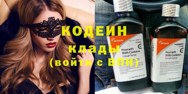 индика Балахна