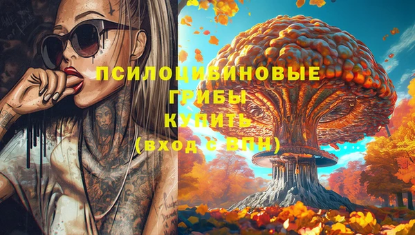 ПСИЛОЦИБИНОВЫЕ ГРИБЫ Балабаново