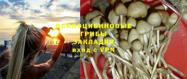 ПСИЛОЦИБИНОВЫЕ ГРИБЫ Балабаново