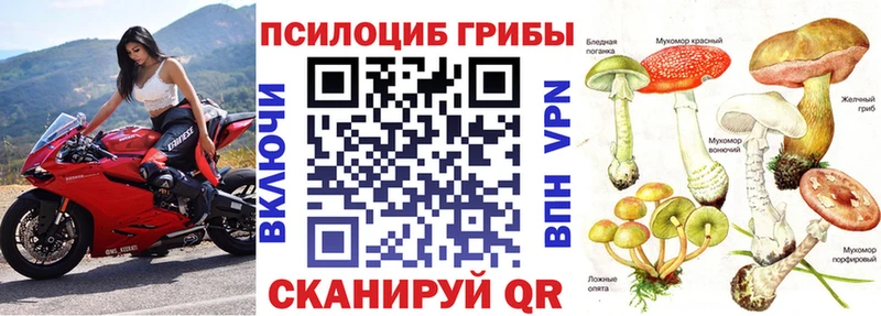 kraken вход  Зуевка  Псилоцибиновые грибы ЛСД 